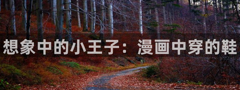 耽漫网官网入口
